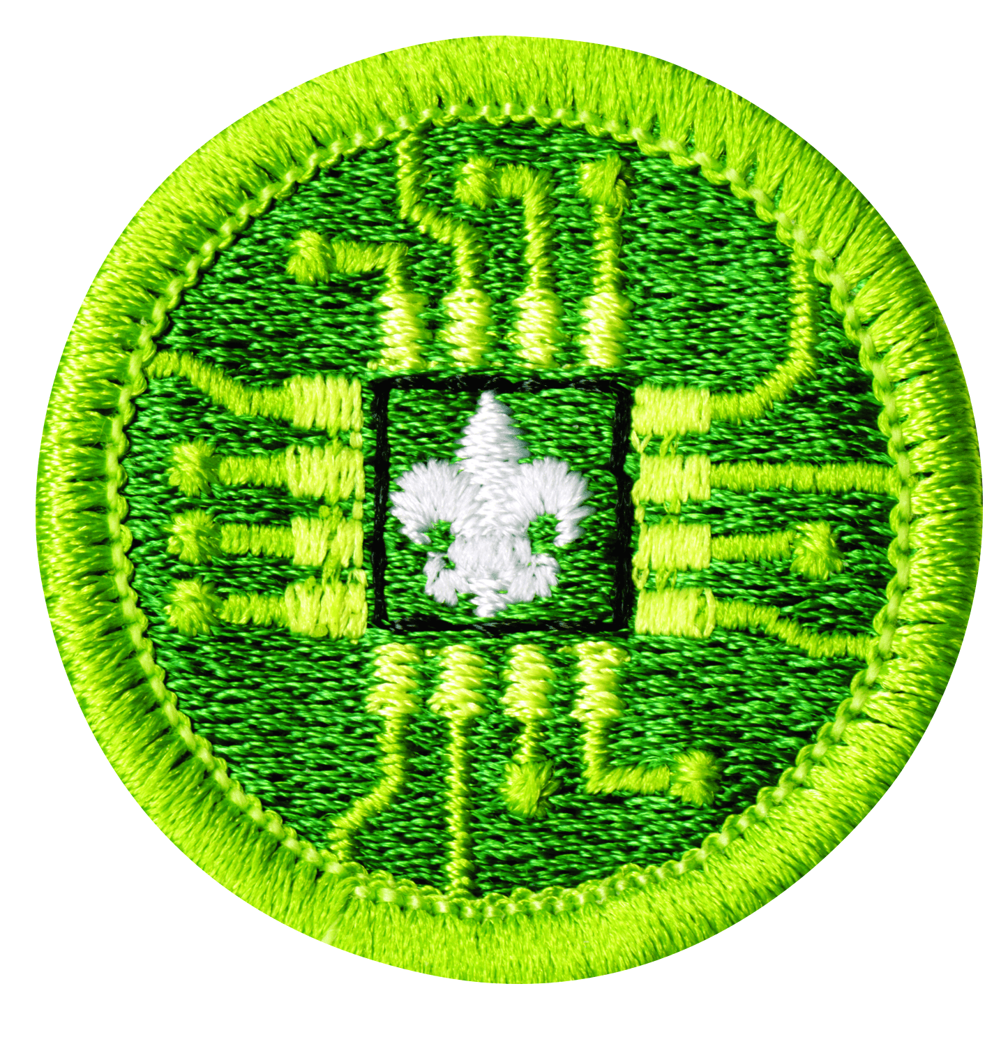 Digital Technology merit badge